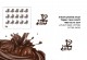 תבנית יציקה להכנת עיטורי שוקולד